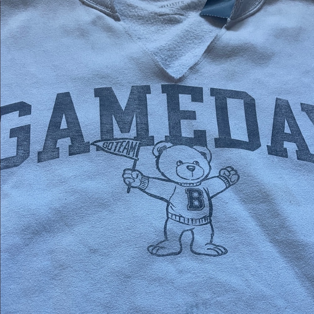 Hollister Teddy bear light blue Sweatshirt XL